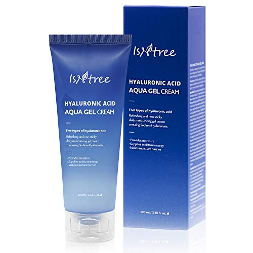 Isntree Hyaluronic Acid Aqua Gel Cream 100 ml